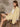 Amii Minimalism Blazers Spring Summer Office Lady Blazer Solid Patchwork Women Jacket Coat Causal Women'S Shorts 12170071
